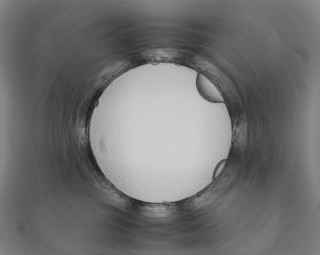 X0000111430381200908101121
