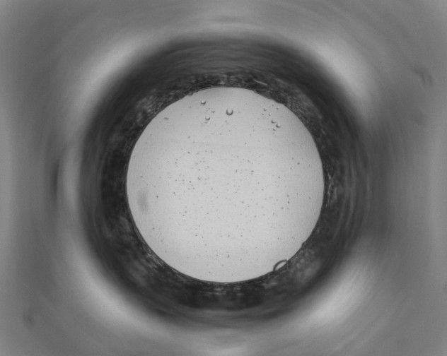 X0000111430383200908101121