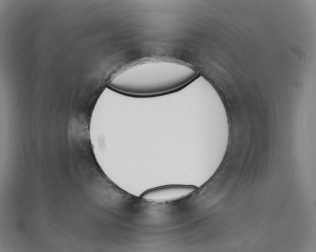 X0000111430384200908101121