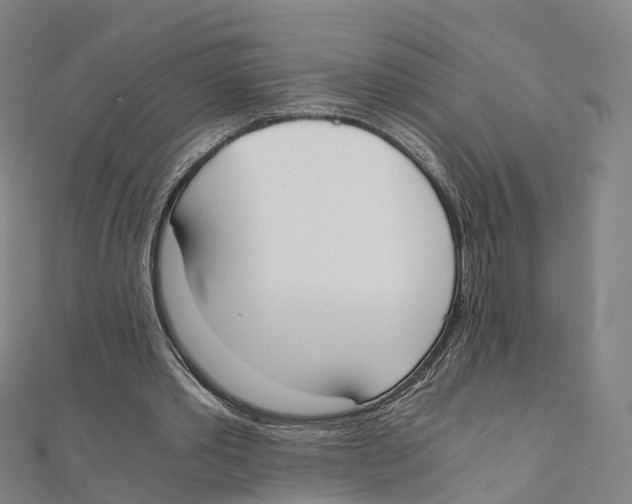 X0000111430389200908101120