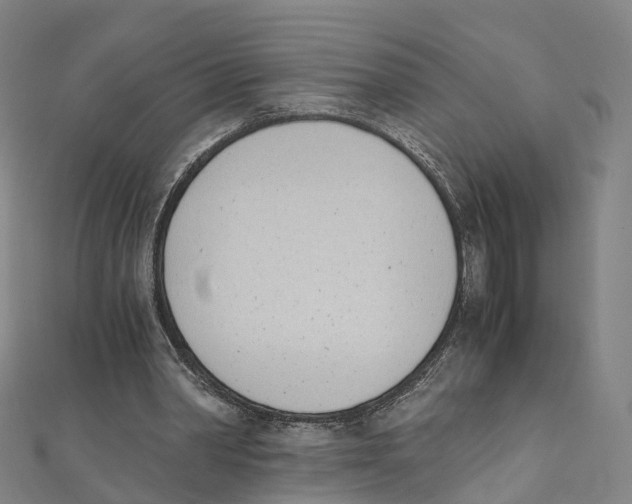X0000111430390200908101120