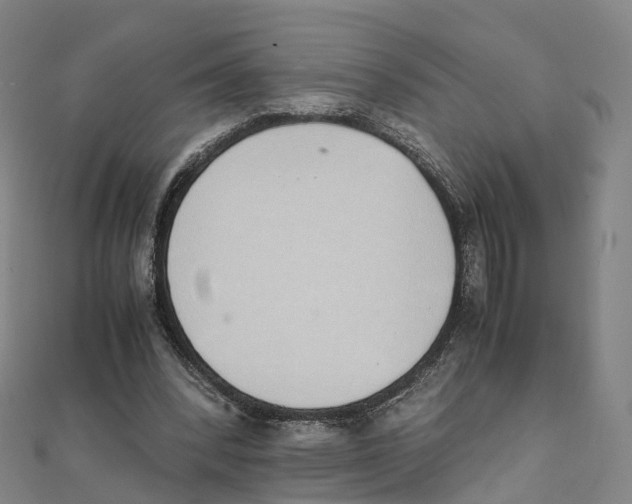 X0000111430392200908101120