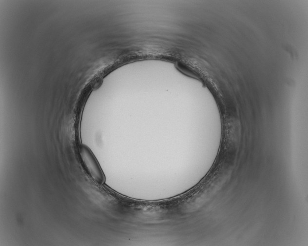 X0000111430395200908101120
