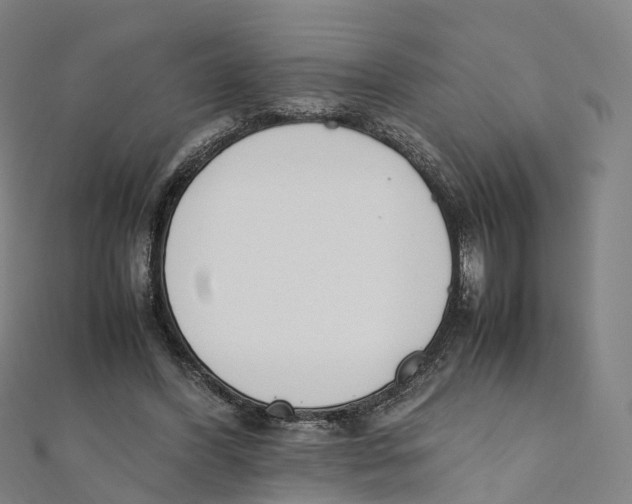 X0000111430396200908101120