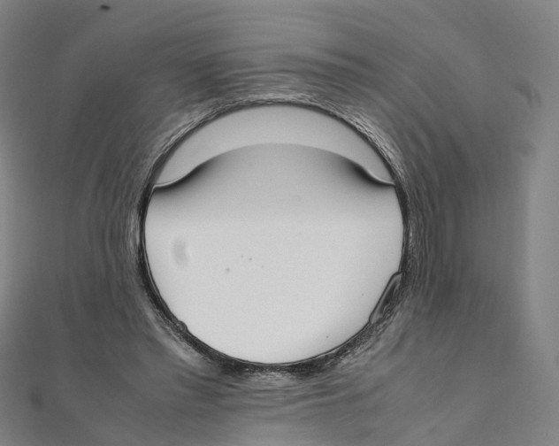 X0000111430397200908101120