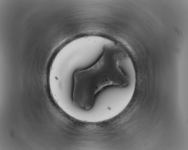 X0000111430399200908101120