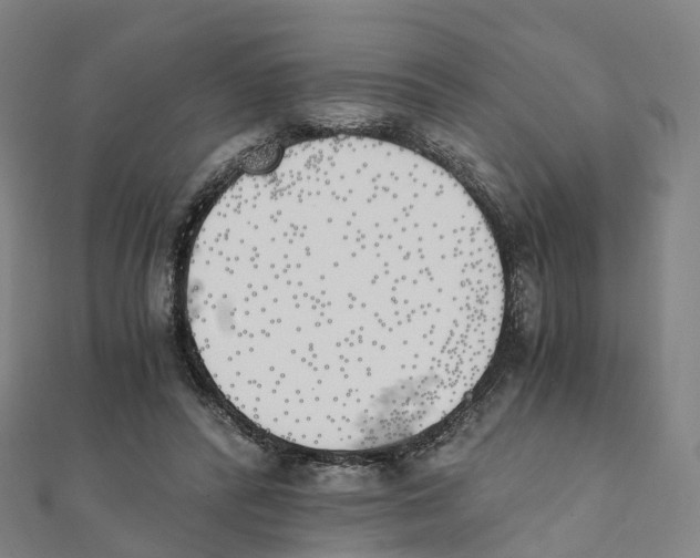 X0000111430400200908101120