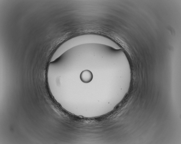 X0000111430401200908101120