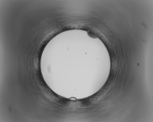 X0000111430403200908101120