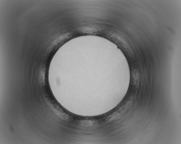 X0000111430404200908101120