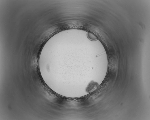 X0000111430405200908101120