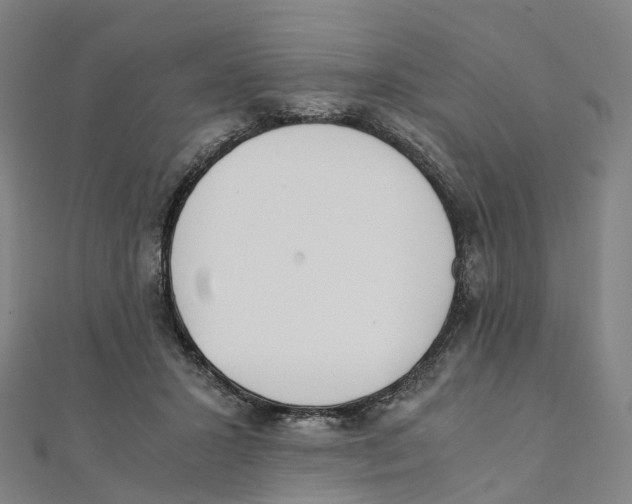 X0000111430407200908101120