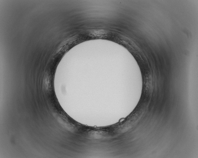 X0000111430408200908101120