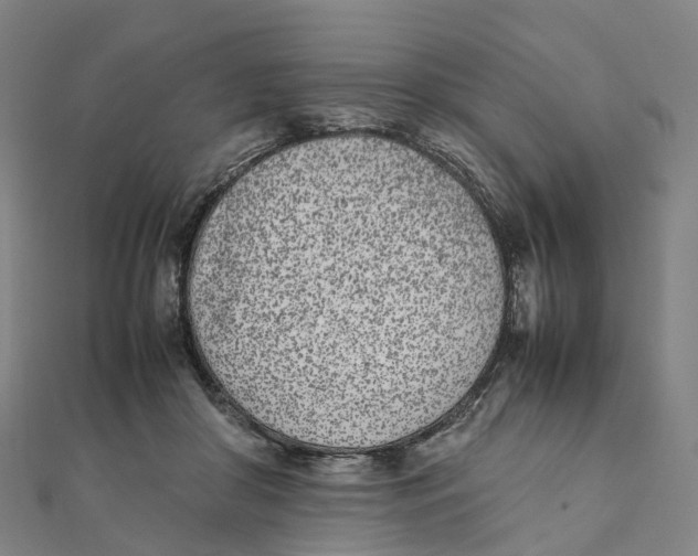 X0000111430410200908101120