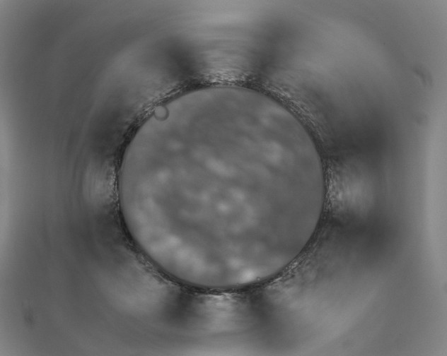 X0000111430411200908101120