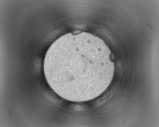 X0000111430412200908101120