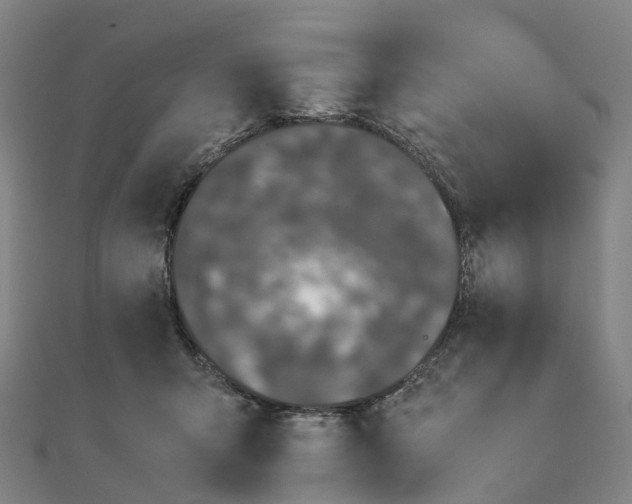 X0000111430415200908101120
