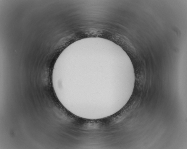 X0000111430416200908101120