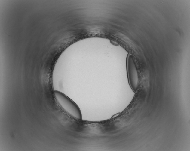 X0000111430417200908101120