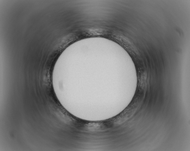 X0000111430418200908101120