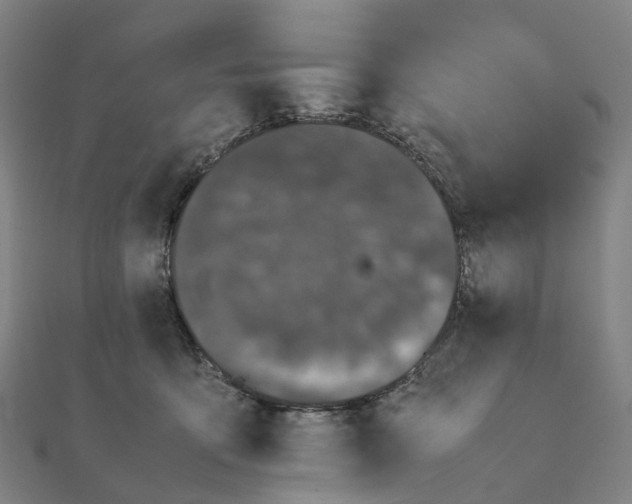 X0000111430419200908101120