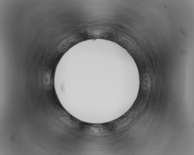X0000111430420200908101120