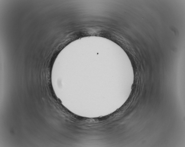 X0000111430421200908101120