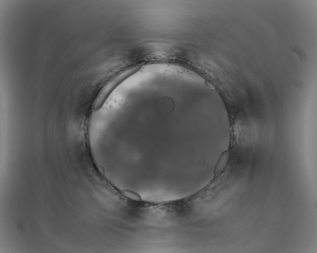 X0000111430423200908101120