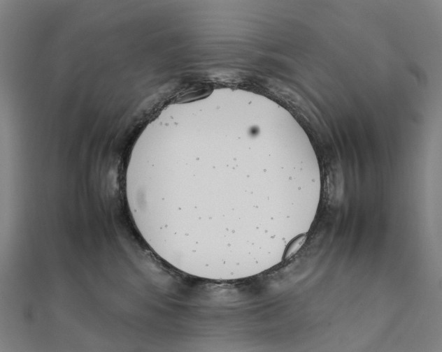 X0000111430424200908101120