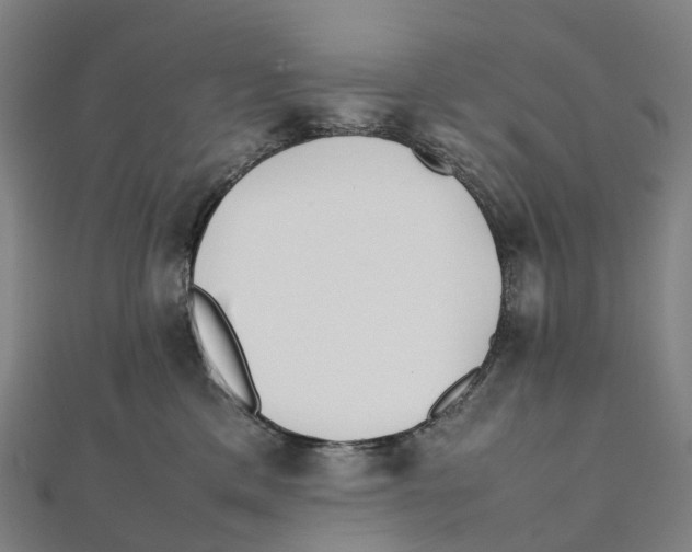 X0000111430425200908101120