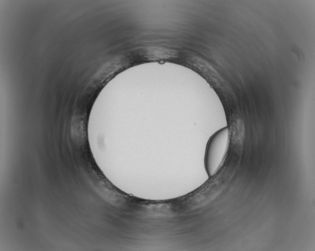 X0000111430426200908101120