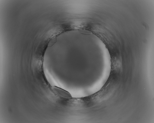 X0000111430427200908101120