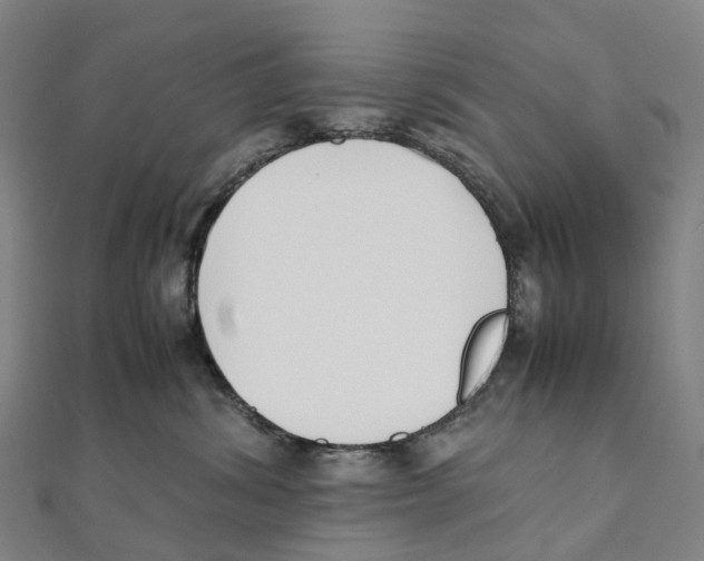 X0000111430428200908101120