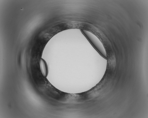 X0000111430429200908101120