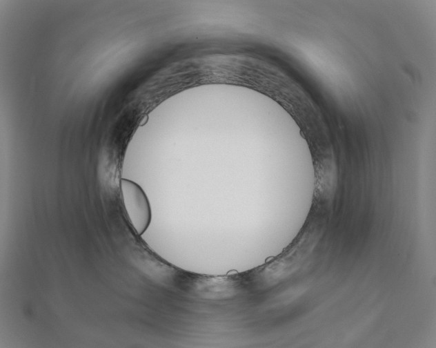 X0000111430431200908101120