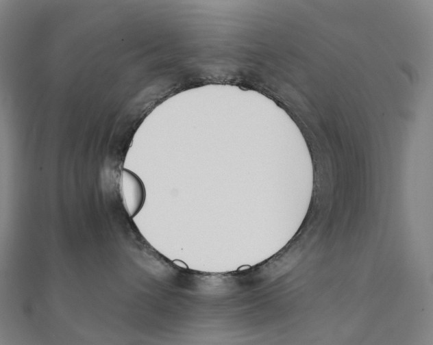 X0000111430432200908101120