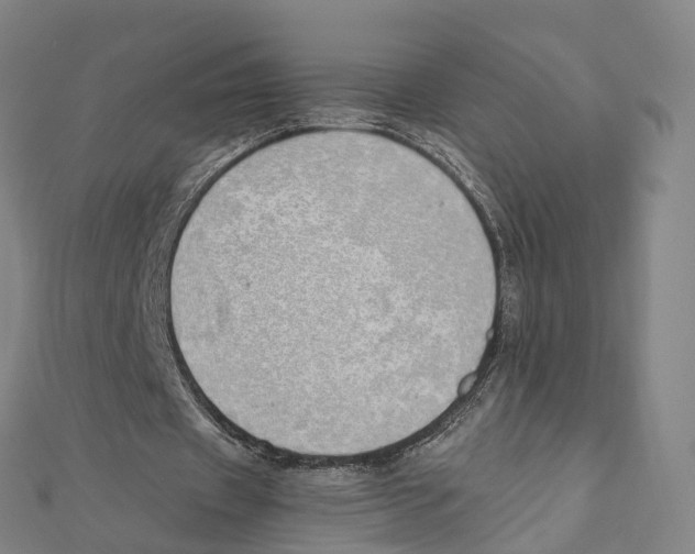 X0000111430433200908101119