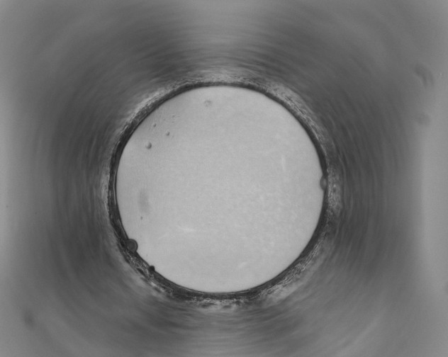 X0000111430434200908101119