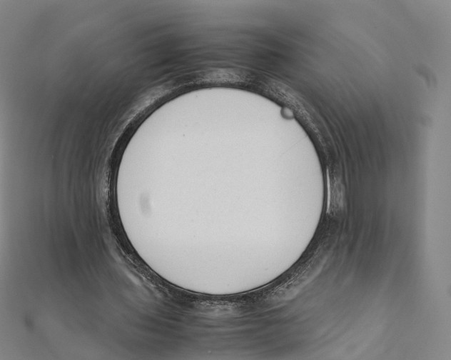 X0000111430435200908101119