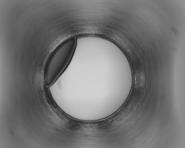 X0000111430436200908101119