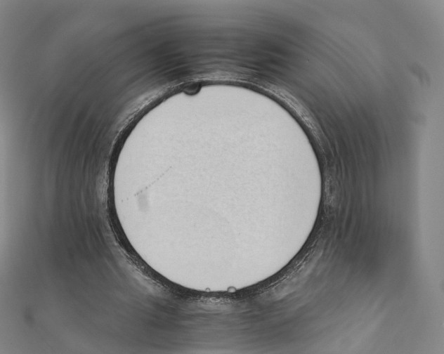 X0000111430437200908101119