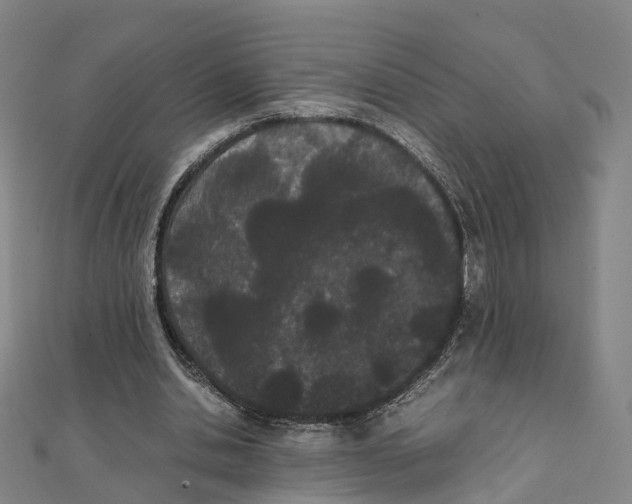 X0000111430438200908101119