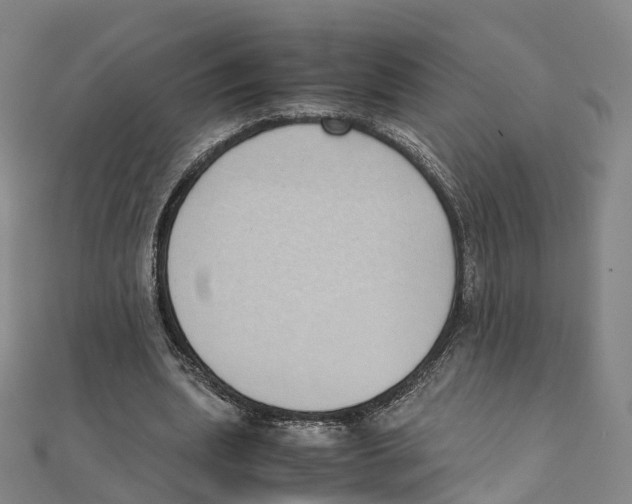 X0000111430439200908101119