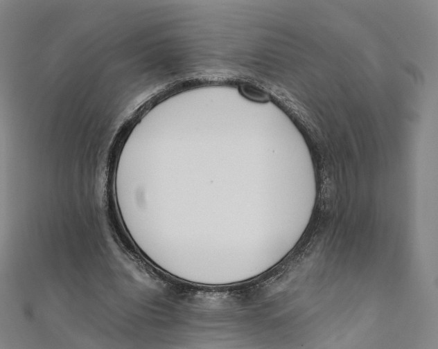 X0000111430440200908101119