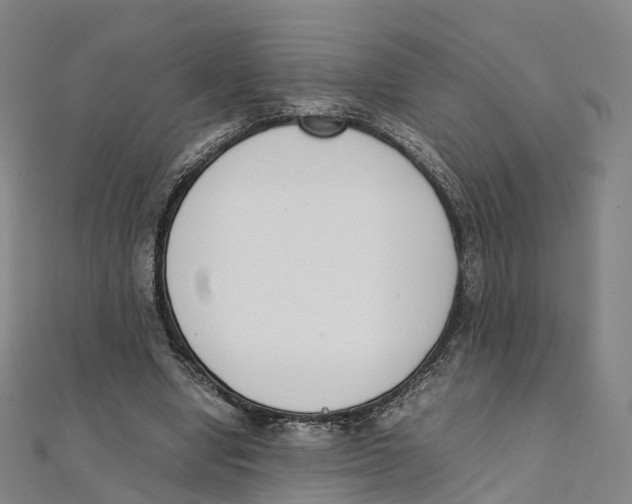 X0000111430442200908101119