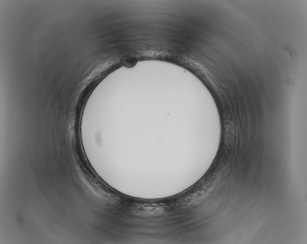 X0000111430443200908101119