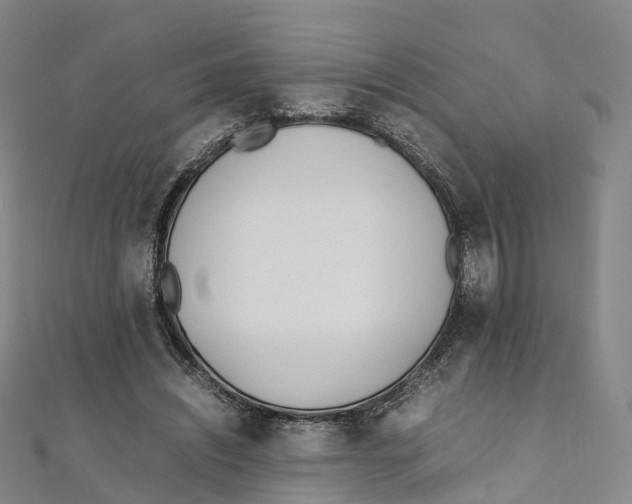 X0000111430444200908101119