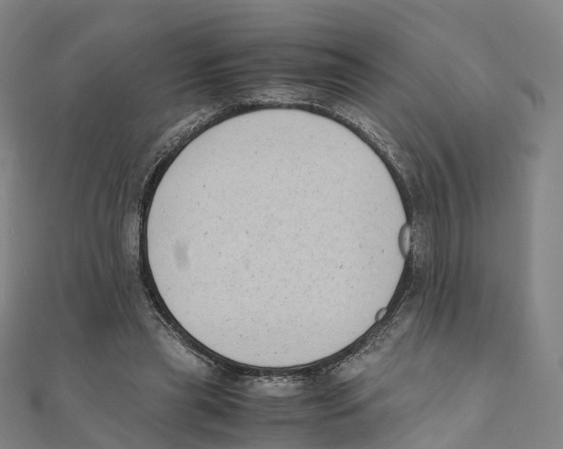 X0000111430445200908101119