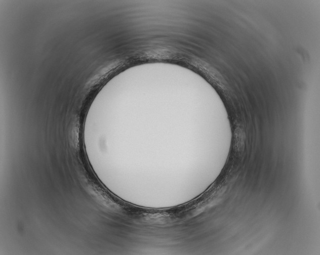 X0000111430446200908101119