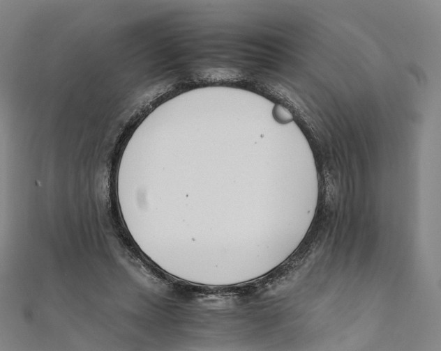 X0000111430447200908101119